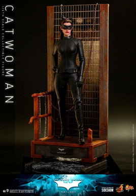 Action Figure 1/6 Catwoman Anne Hathaway Dark Knight Trilogy Movie Masterpiece
