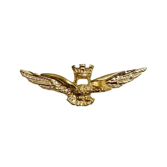 3 Stormo Aeronautica Militare enamelled metal pin